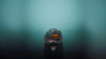 বসন্তে বেড়ানো