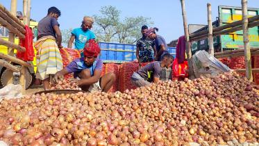 pabna_onion1_8mar25.jpg