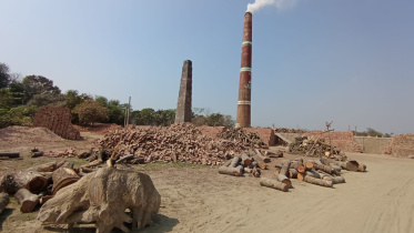 ইটভাটা, মাদারীপুর, জ্বালানি, পরিবেশ অধিদপ্তর, পরিবেশ,