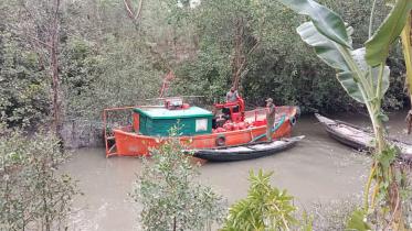 সুন্দরবনের আগুন নিয়ন্ত্রণে, তদন্ত কমিটি গঠন