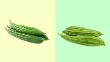 চিচিঙ্গা ও ঝিঙার পুষ্টিগুণ 