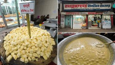 ছানামুখী