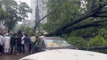 ধানমন্ডি