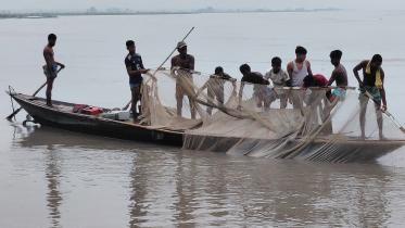 lalmonirhat_teesta_fish-01.jpg
