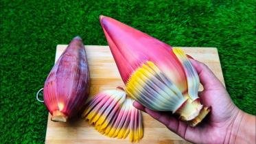 কলার মোচা, কলার মোচা, কলার মোচার পুষ্টিগুণ, কলার মোচার উপকারিতা, কলার মোচার স্বাস্থ্য উপকারিতা, কলার মোচার গুণাগুণ, কলার মোচার ভেষজ গুণ, কলার মোচার রেসিপি, কলার মোচা খাওয়ার উপকারিতা, কলার মোচার ভর্তা, কলার মোচার ভাজি, কলার মোচার ঝোল, কলার মোচার রান্না, কল