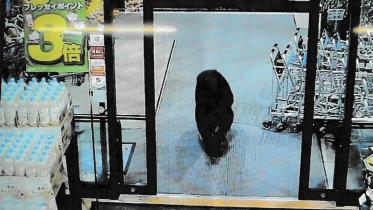 জাপানের সুপারশপের প্রধান ফটকের সামনে ভালুক। ছবি: এএফপি/সিসি ক্যামেরা ফুটেজ থেকে স্ক্রিণশট