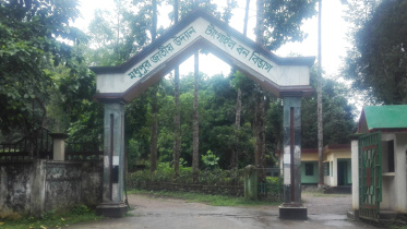 madhupur.jpg
