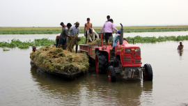 মেদীর হাওর