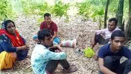 মেহেরপুর সীমান্ত দিয়ে বিএসএফের পুশইন চেষ্টা প্রতিহত করল বিজিবি