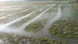 Noakhali-Crops-Damage
