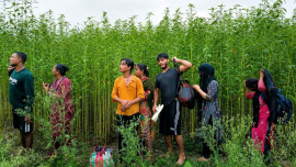 কুষ্টিয়ায় পুশ ইন চেষ্টা