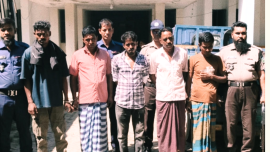 ঘোড়ার মাংস