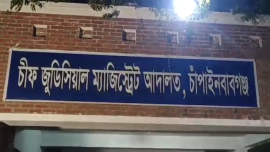 চাঁপাই