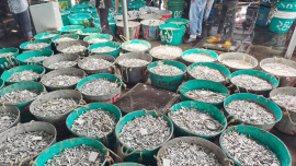 ছবি: স্টার