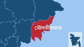 স্টার অনলাইন গ্রাফিক্স