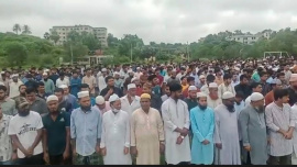 janaja 
