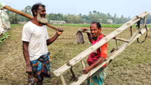 অমপুরিয়া