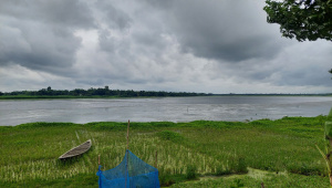 নান্দিয়ার বিল