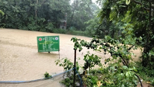 বন্যা