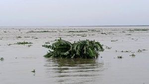 Sirajganj-river-swelling