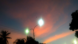 ছবি: স্টার।