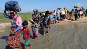 রোহিঙ্গা প্রত্যাবাসন