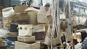 ছবি: স্টার।