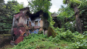 পি সি রায়ের জন্মভিটা