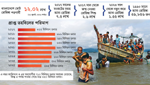রোহিঙ্গা সংকট ইনফোগ্রাফ