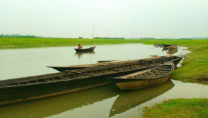 সিরাজগঞ্জ নিম্নাঞ্চল