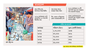 মাছ আমদানি