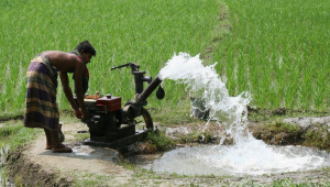 farmer