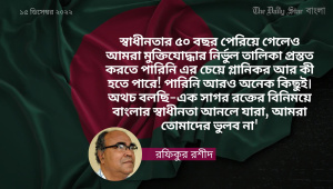 বিজয় দিবস ও আমাদের অপারগতা