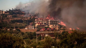 গ্রিসে ফের দাবানল, ১৮ জনের মরদেহ উদ্ধার