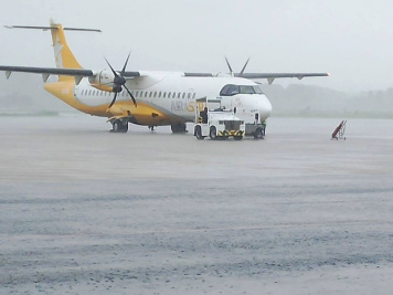 ফ্লাইট