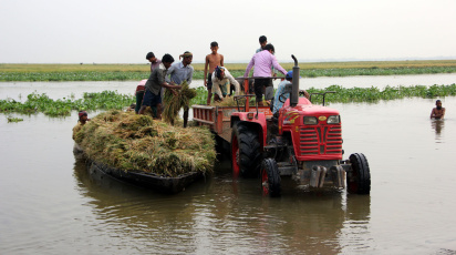 মেদীর হাওর