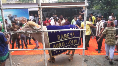 ছবি: সংগৃহীত