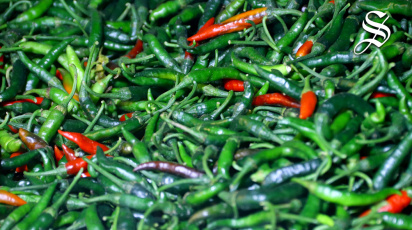 green-chilli