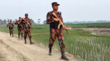 বিজিবি টহল