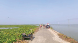 চলন বিল