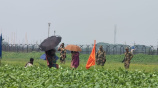 কুড়িগ্রাম সীমান্ত