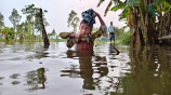 কুড়িগ্রামে বন্যা