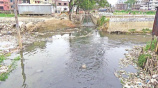 স্টার ফাইল ছবি।