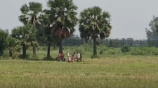 নওগাঁয় পুশ ইনের চেষ্টা ব্যর্থ করে দিয়েছে বিজিবি