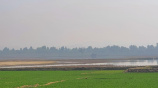 স্টার ফাইল ছবি।