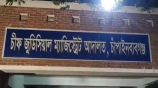 চাঁপাই