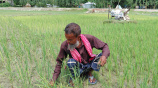 ছবি: স্টার।