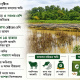 crops damage
