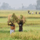ছবি: স্টার।