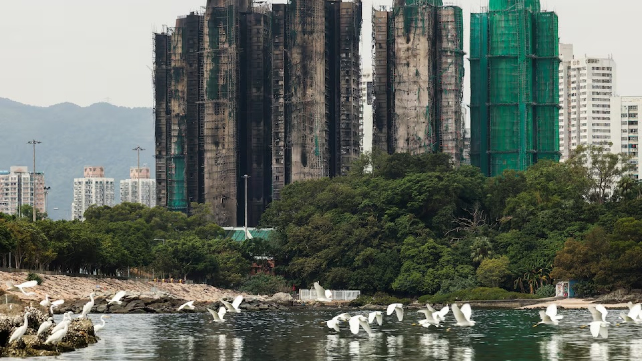 hongkong_2.jpg